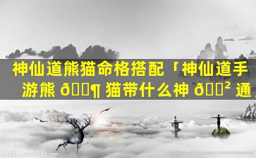 神仙道熊猫命格搭配「神仙道手游熊 🐶 猫带什么神 🌲 通」